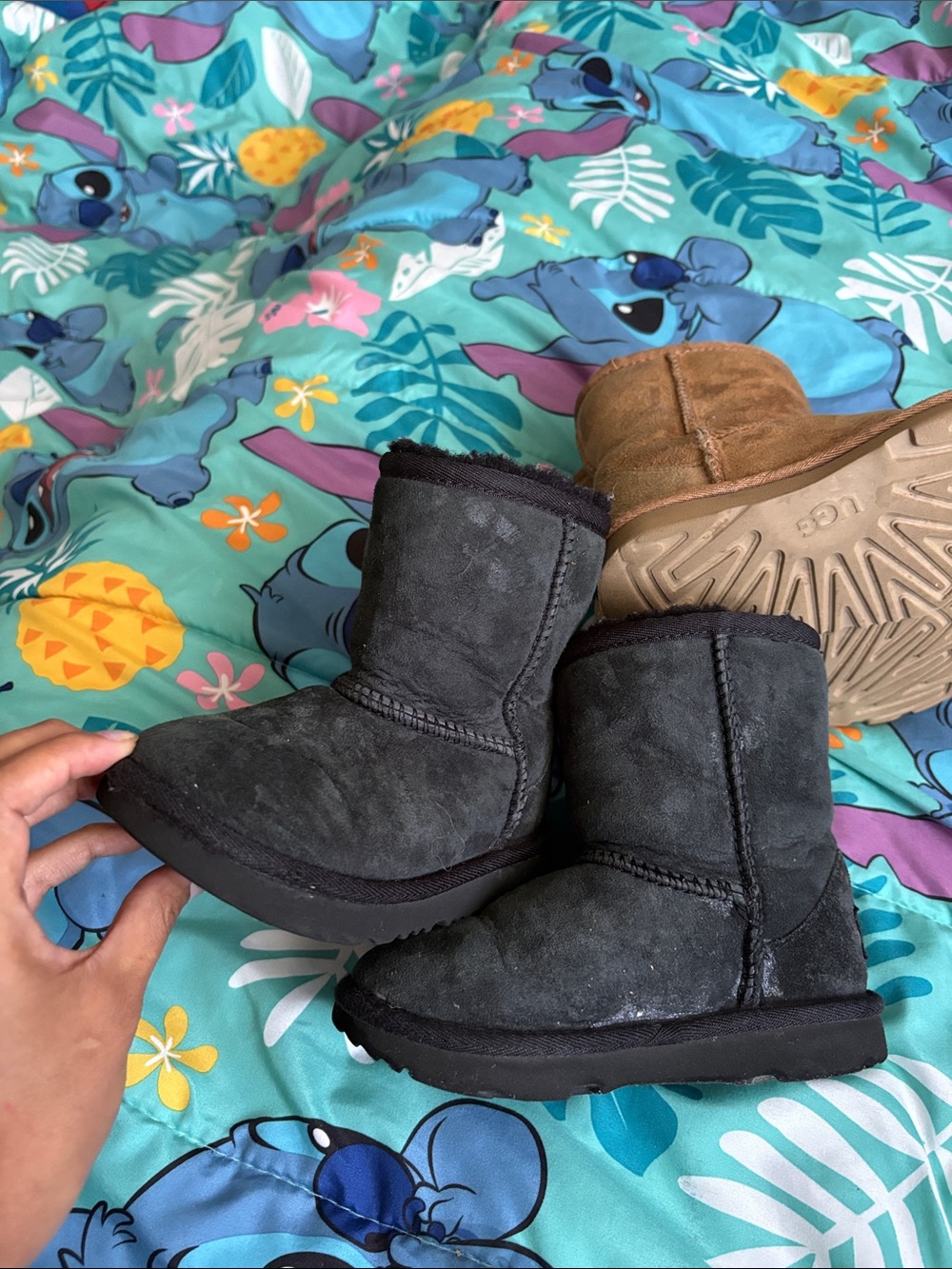 UGG Classic Short Boots - Chestnut and Black Pairs - Picture 11 of 16